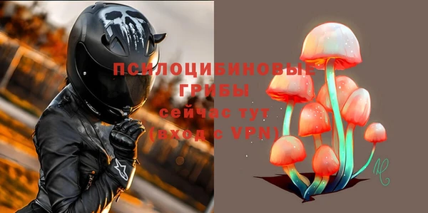 экстази Алексин