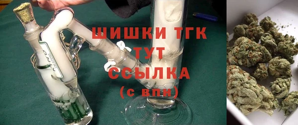 мдпв Билибино