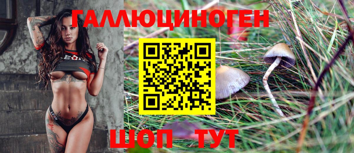 Галлюциногенные грибы Psilocybe  Вход с VPN  Ярцево 