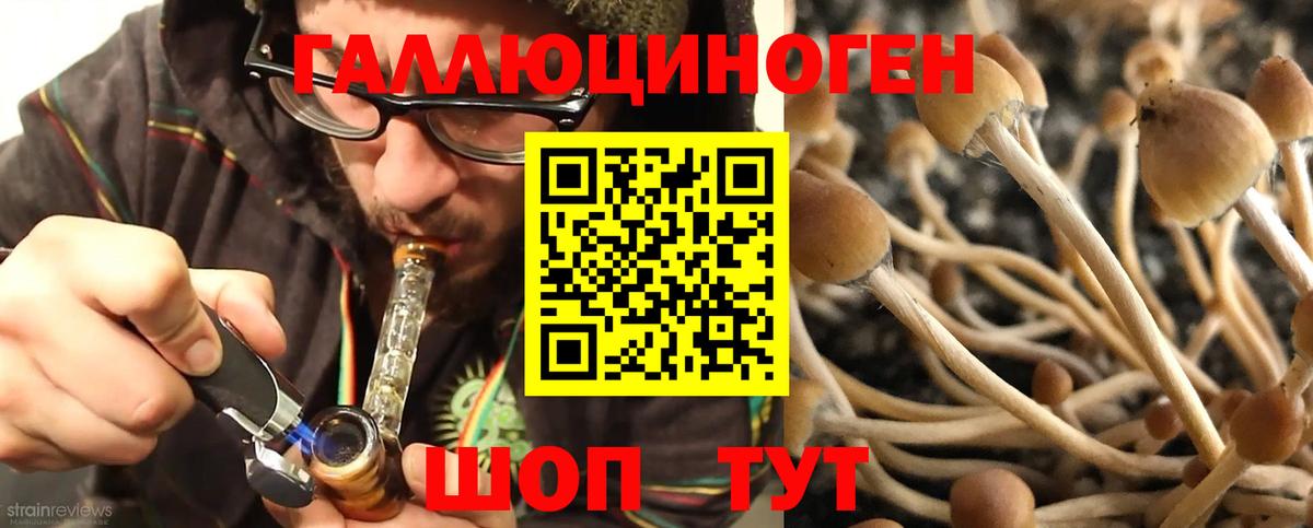 Псилоцибиновые грибы Cubensis Ярцево
